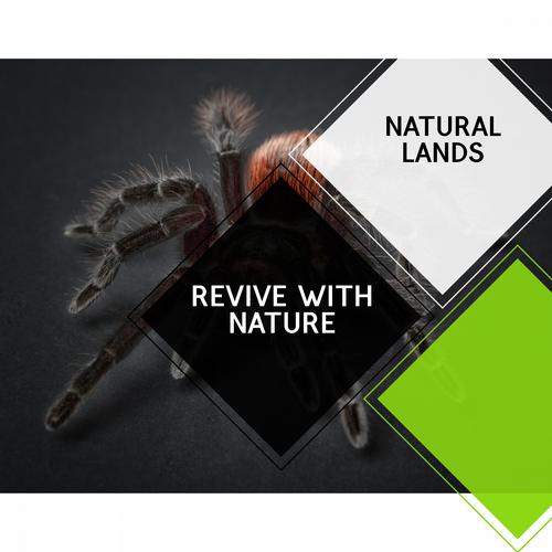 Revive with Nature - Natural Lands