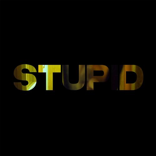 Stupid (Explicit)