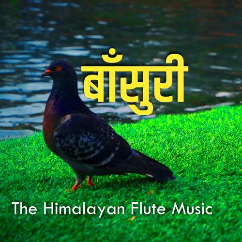 Morning Flute Music | The Himalayan Flute Music | Relaxing Flute Music