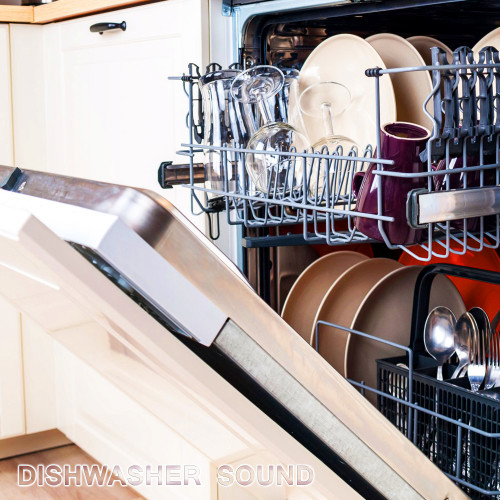 Dishwasher Sound (feat. White Noise Sounds For Sleep, Soothing Baby Sounds, Soothing Sounds, National Geographic Nature Sounds & Relaxing Nature Sound)