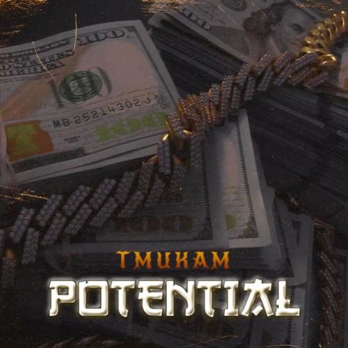 Potential (Explicit)