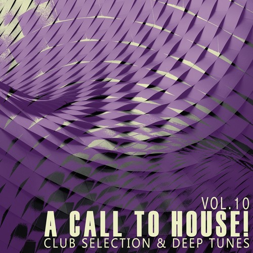 A Call to House!, Vol. 10