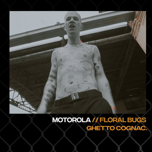 Motorola (Explicit)