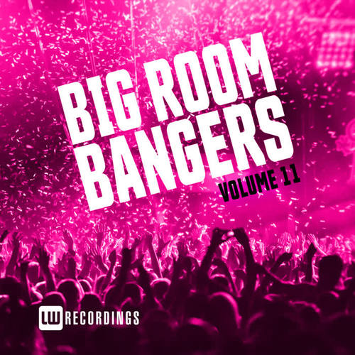 Big Room Bangers, Vol. 11