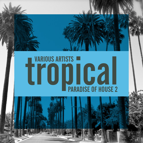 Tropical Paradise Of House 2