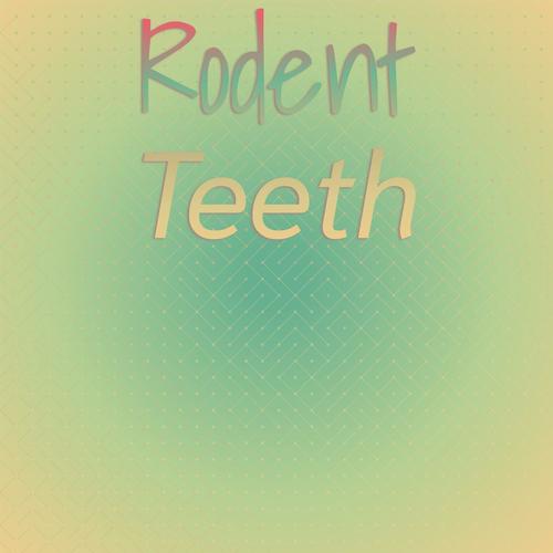 Rodent Teeth