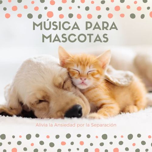 Música para Mascotas – Alivia la Ansiedad por la Separación