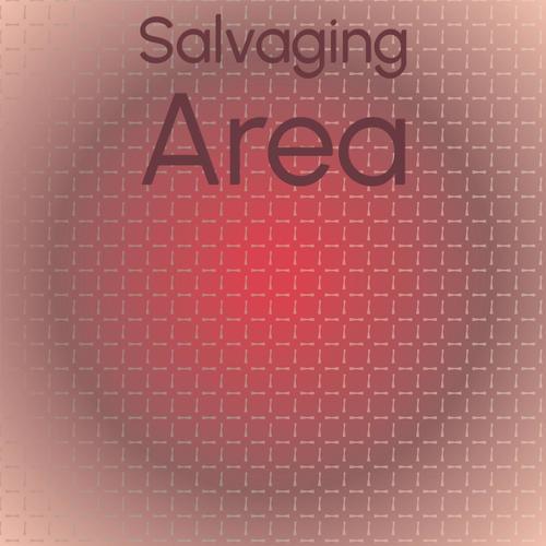 Salvaging Area