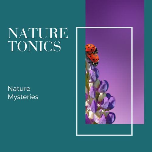 Nature Tonics - Nature Mysteries