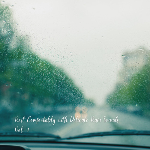 Rest Comfortably with Delicate Rain Sounds Vol. 1