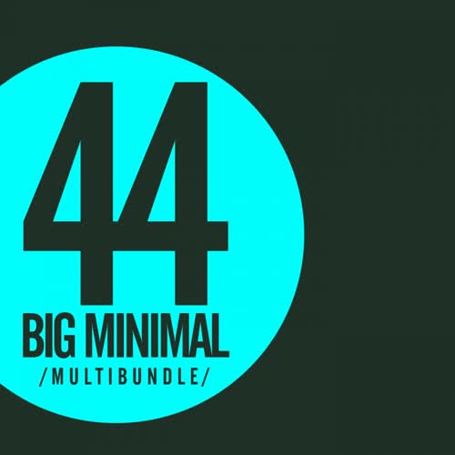 44 Big Minimal Multibundle