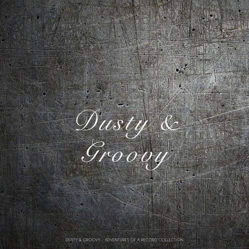 Dusty & Groovy (Dusty & Groovy - Adventures Of A Record Collection)