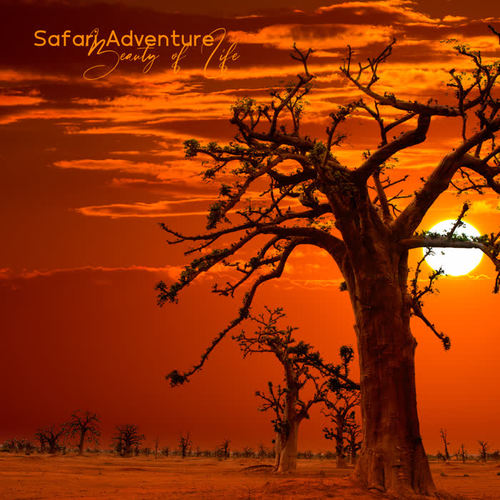 Safari Adventure – Beauty of Life