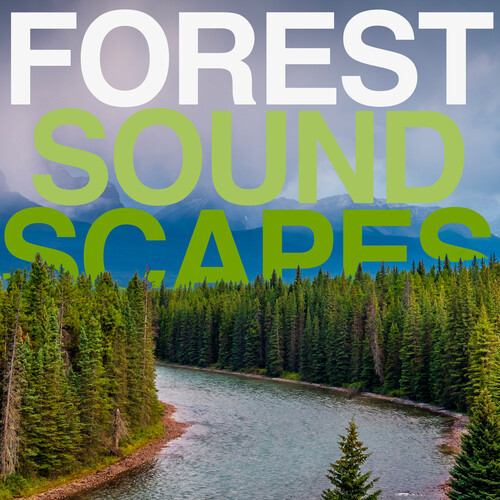 Forest Soundscapes