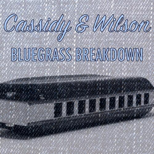 Bluegrass Breakdown