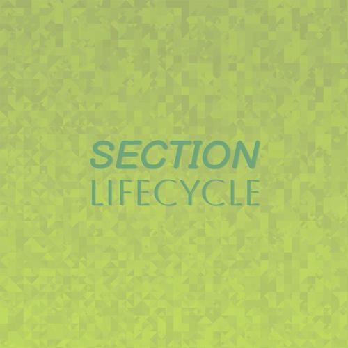 Section Lifecycle