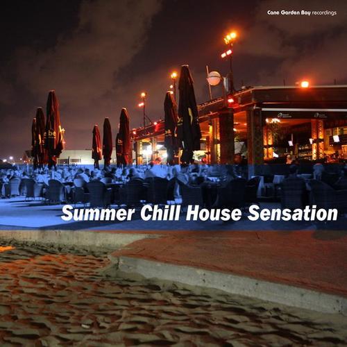 Summer Chill House Sensation