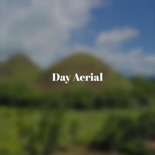 Day Aerial