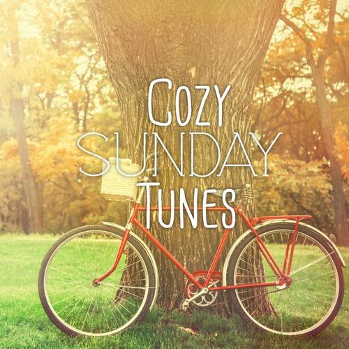 Cozy Sunday Tunes, Vol. 1 (Best of Weekend Lounge & Chill out Music)