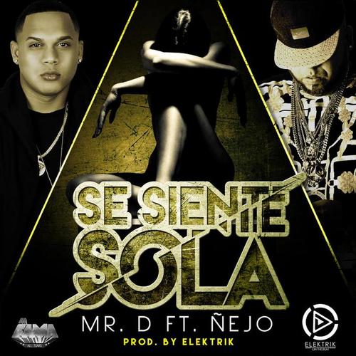 Se Siente Sola (feat. Nejo)