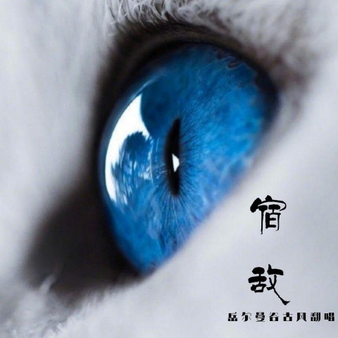 天龙八部之宿敌 (《天龙八部3》网游主题曲) - 岳尔曼谷
