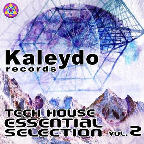 Tech House Essential Selection Vol.2