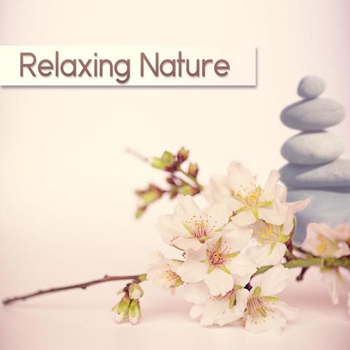 Relaxing Nature - Spa, Massage Music, Inner Peace, Relaxation Meditation, Yoga, Regeneration, Reiki Therapy, Body Therapy