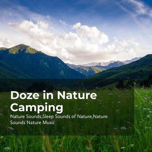 Doze in Nature Camping