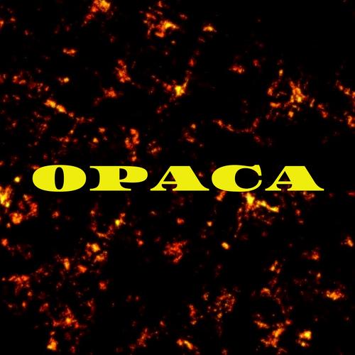 Opaca