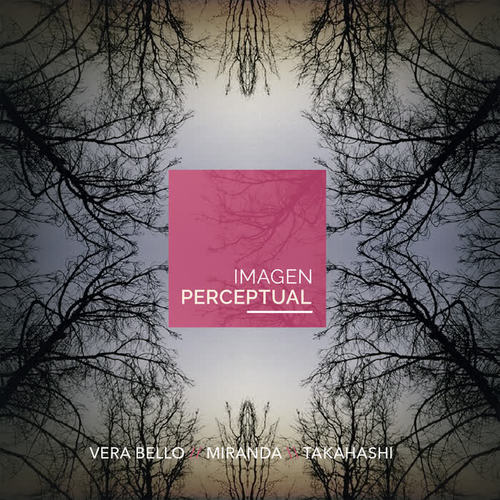 Imagen Perceptual