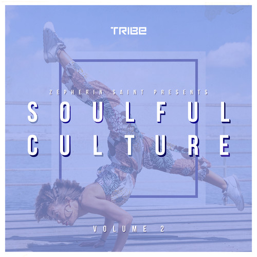 Zepherin Saint Presents Soulful Culture, Vol. 2