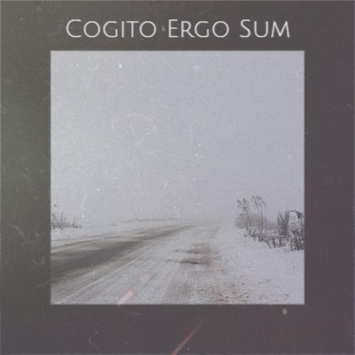 Cogito Ergo Sum