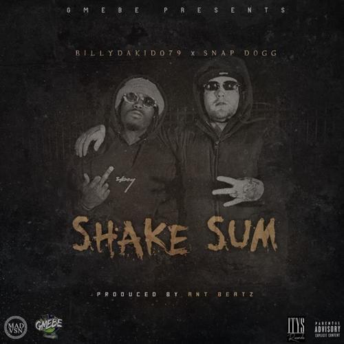 Shake Sum (Explicit)