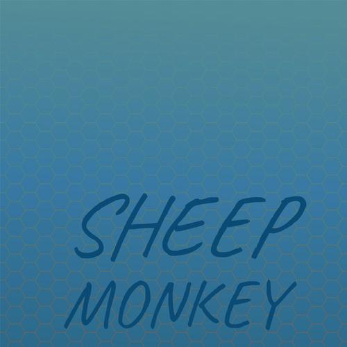 Sheep Monkey