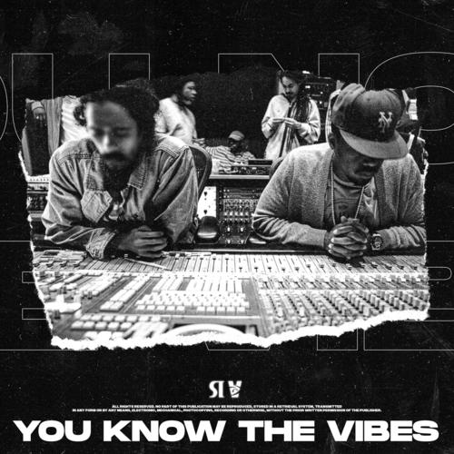 You Know The Vibes (Explicit)