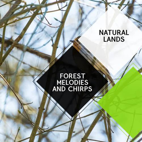 Forest Melodies and Chirps - Natural Lands