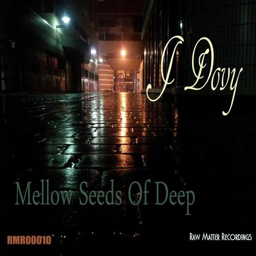 Raw Matter Recordings: Mellow Seeds of Deep