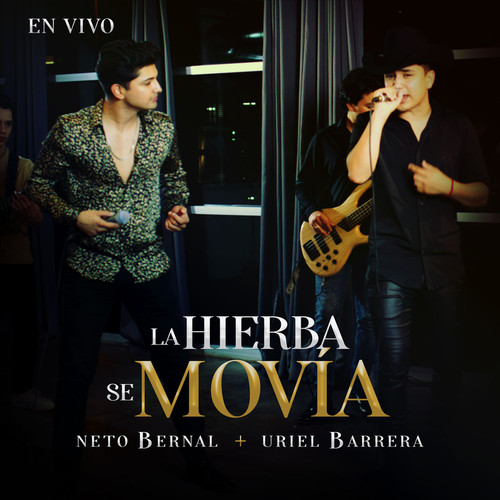 La Hierba Se Movía (En Vivo)