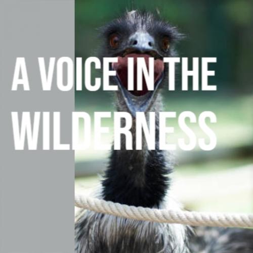 A Voice In The Wilderness