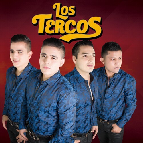 Los Tercos