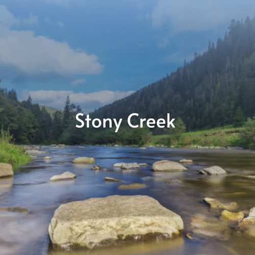 Stony Creek