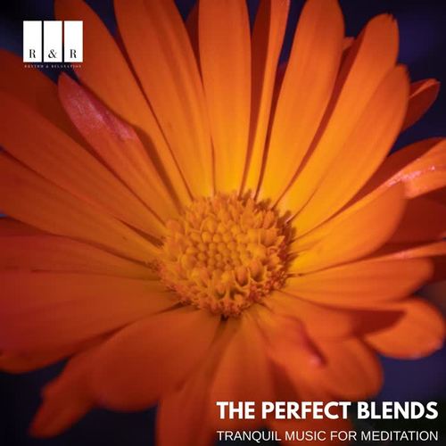 The Perfect Blends: Tranquil Music for Meditation