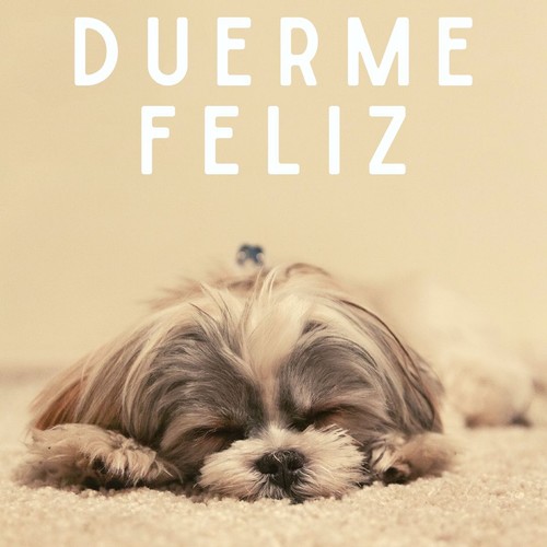 DUERME FELIZ