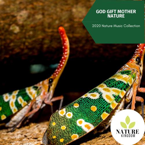 God Gift Mother Nature - 2020 Nature Music Collection