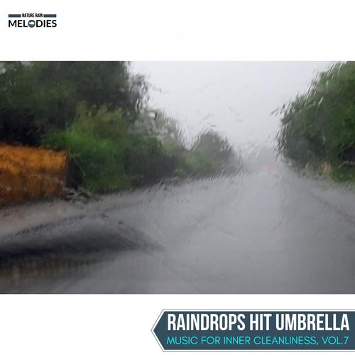 Raindrops Hit Umbrella - Music for Inner Cleanliness, Vol.7