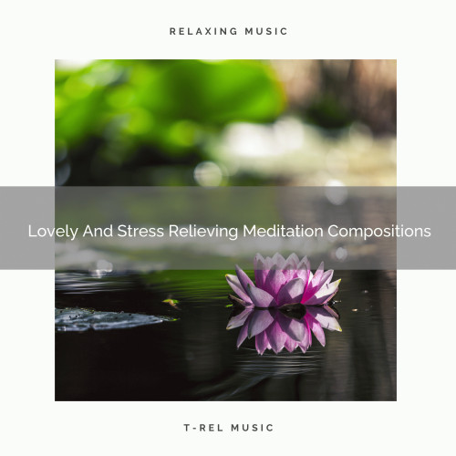 Lovely And Stress Relieving Meditation Compositions