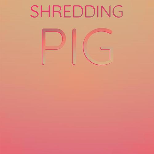 Shredding Pig