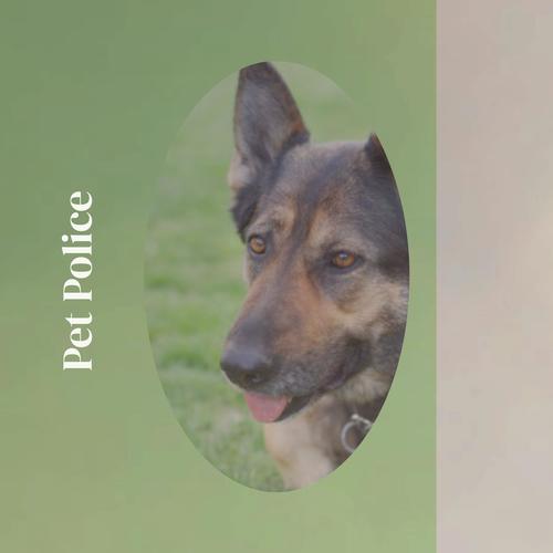 Pet Police