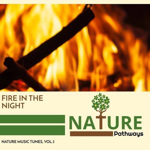 Fire in the Night - Nature Music Tunes, Vol.3