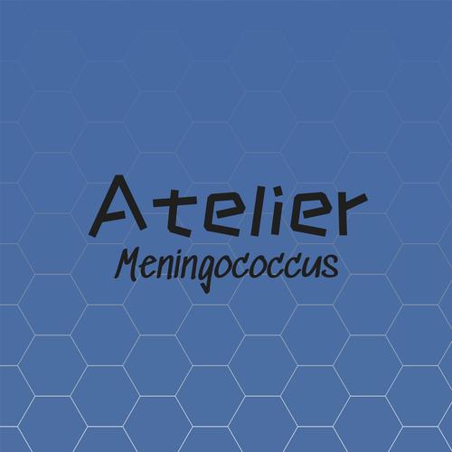 Atelier Meningococcus